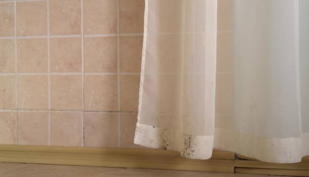 Best Environmental Consulting for Mold Prevention  in Iroquois Point, HI