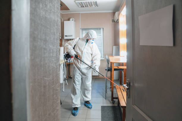 Best Black Mold Removal  in Iroquois Point, HI