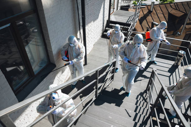 Best Residential Mold Inspection & Testing  in Iroquois Point, HI