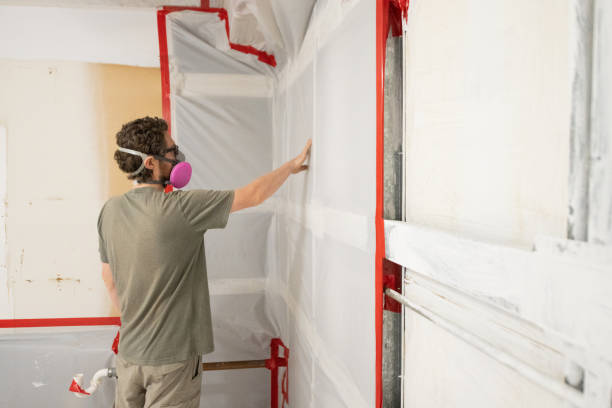 Best Mold Damage Restoration  in Iroquois Point, HI