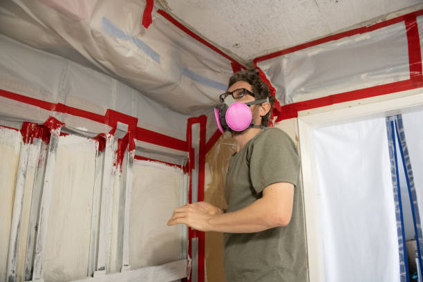Best Mold Removal for HVAC Installations  in Iroquois Point, HI