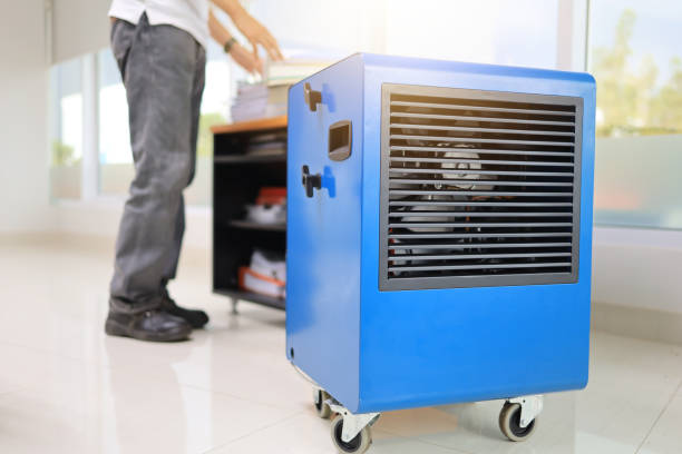 Best Mold-Related Health Consultation  in Iroquois Point, HI